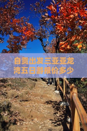 自贡出发三亚亚龙湾五日游报价多少钱