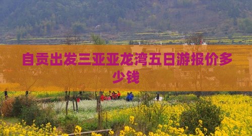 自贡出发三亚亚龙湾五日游报价多少钱