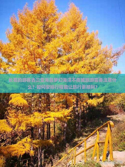 长葛的游客去三亚海昌梦幻海洋不夜城旅游需要注意什么？如何安排行程能让旅行更顺利？