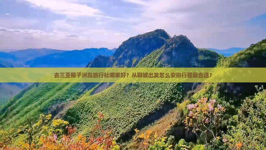 去三亚椰子洲岛旅行社哪家好？从聊城出发怎么安排行程最合适？