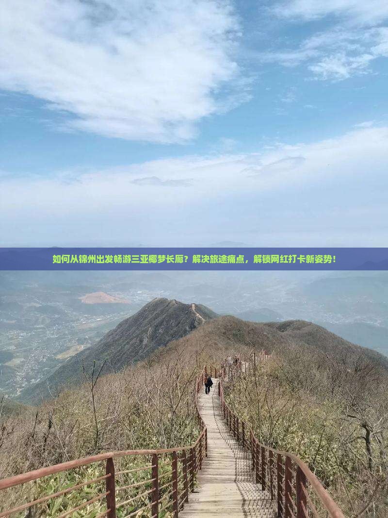 如何从锦州出发畅游三亚椰梦长廊？解决旅途痛点，解锁网红打卡新姿势！