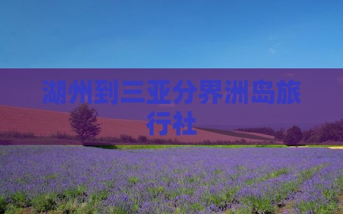 湖州到三亚分界洲岛旅行社