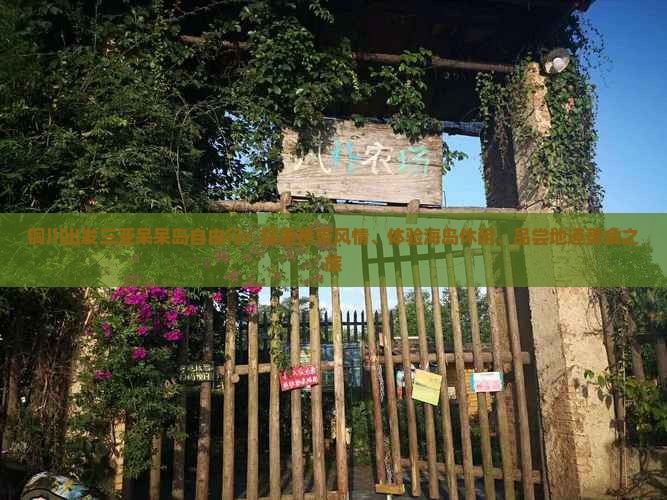 铜川出发三亚呆呆岛自由行：探索热带风情、体验海岛休闲、品尝地道美食之旅
