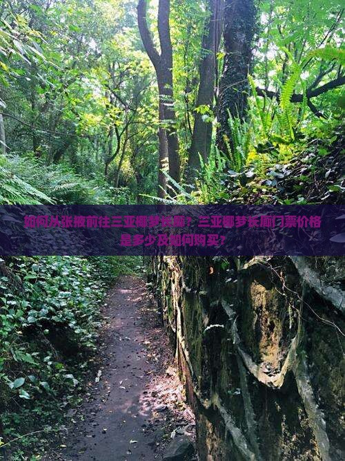 如何从张掖前往三亚椰梦长廊？三亚椰梦长廊门票价格是多少及如何购买？