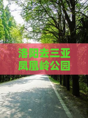 洛阳去三亚凤凰岭公园自由团费用及路线指南