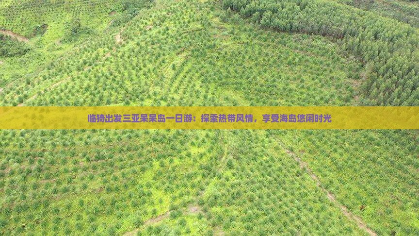 临猗出发三亚呆呆岛一日游：探索热带风情，享受海岛悠闲时光