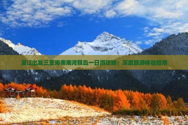 湛江出发三亚海南南湾猴岛一日游攻略：深度旅游体验指南
