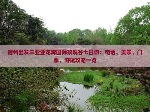 宿州出发三亚亚龙湾国际玫瑰谷七日游：电话、美景、门票、游玩攻略一览