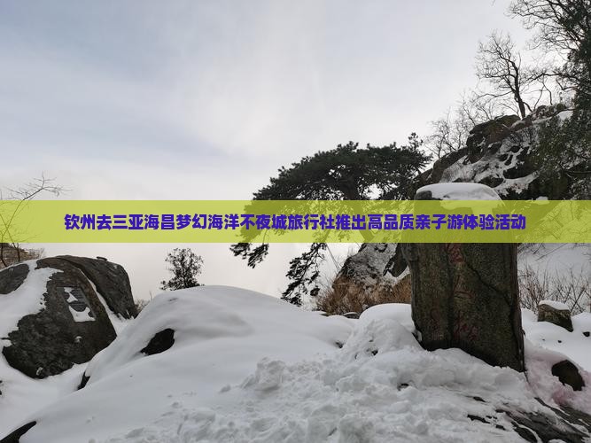 钦州去三亚海昌梦幻海洋不夜城旅行社推出高品质亲子游体验活动