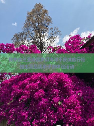 钦州去三亚海昌梦幻海洋不夜城旅行社推出高品质亲子游体验活动