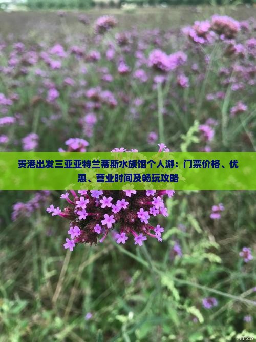 贵港出发三亚亚特兰蒂斯水族馆个人游：门票价格、优惠、营业时间及畅玩攻略