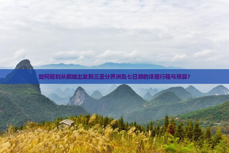 如何规划从桐城出发到三亚分界洲岛七日游的详细行程与预算？