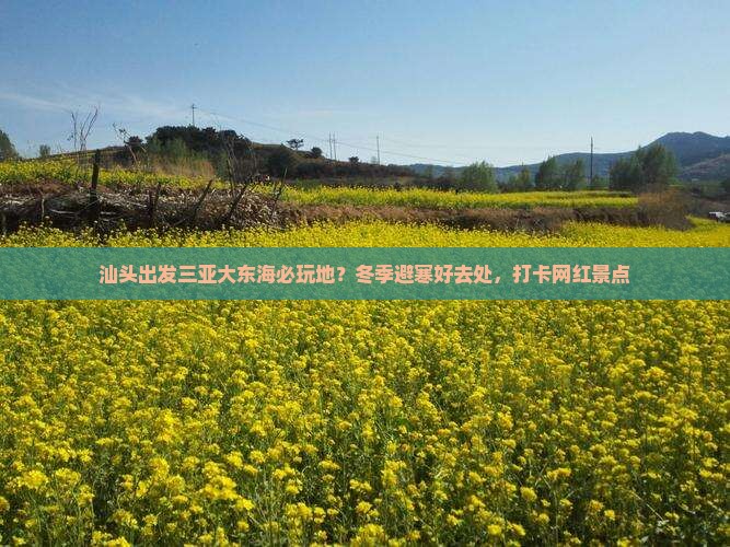 汕头出发三亚大东海必玩地?冬季避寒好去处,打卡网红景点 汕头出发三亚大东海必玩地?冬季避寒好去处,打卡网红景点