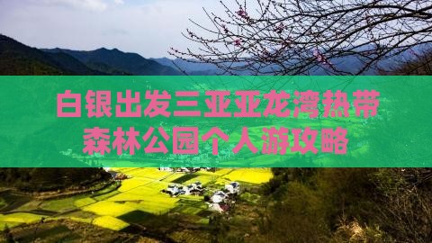 白银出发三亚亚龙湾热带森林公园个人游攻略 白银出发三亚亚龙湾热带森林公园个人游攻略