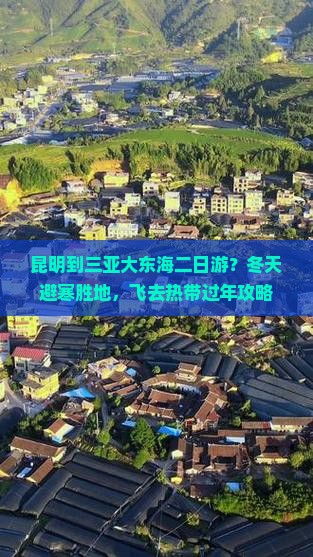 昆明到三亚大东海二日游？冬天避寒胜地，飞去热带过年攻略