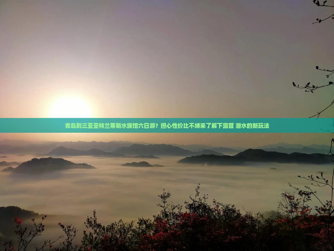 青岛到三亚亚特兰蒂斯水族馆六日游？担心性价比不缚来了解下露营+潜水的新玩法