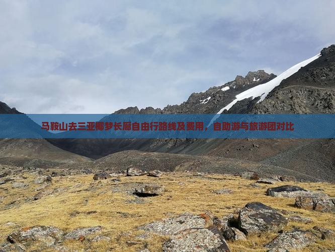 马鞍山去三亚椰梦长廊自由行路线及费用，自助游与旅游团对比