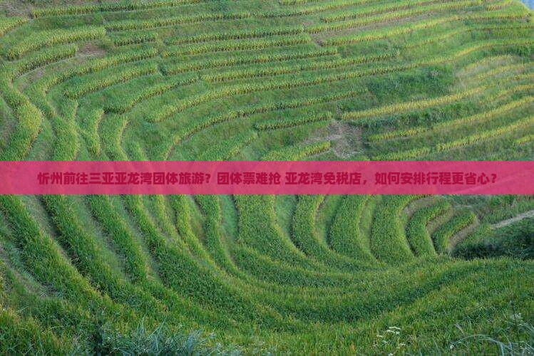 忻州前往三亚亚龙湾团体旅游？团体票难抢+亚龙湾免税店，如何安排行程更省心？