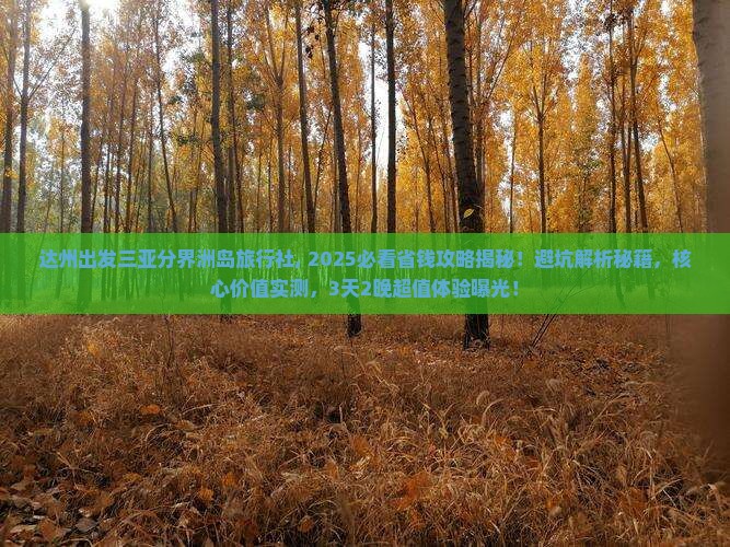 达州出发三亚分界洲岛旅行社