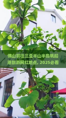 佛山前往三亚半山半岛帆船港旅游网红地点