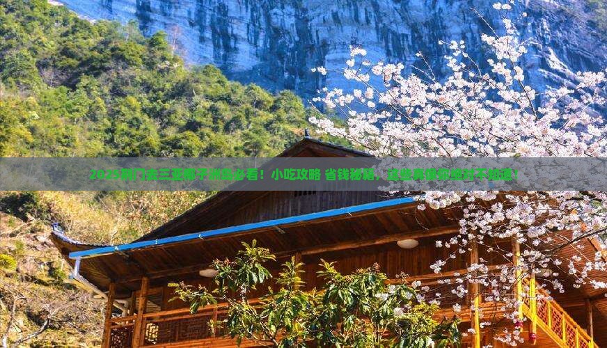 荆门去三亚椰子洲岛旅游小吃