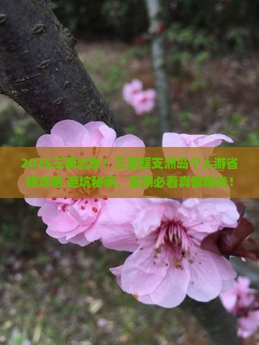 三明前往三亚蜈支洲岛个人游