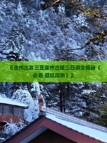 池州去三亚崖洲古城三日游