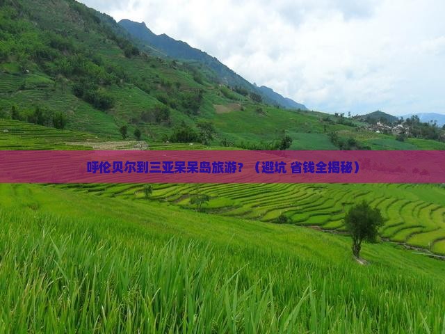 呼伦贝尔出发三亚呆呆岛旅行社