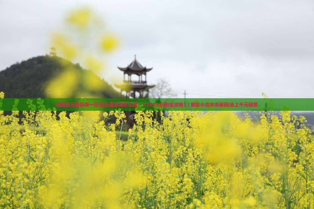 濮阳去三亚后海一日游