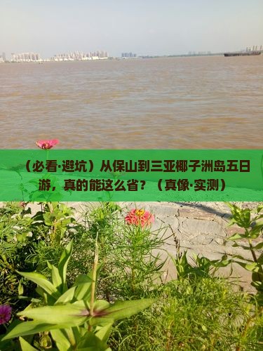 保山前往三亚椰子洲岛五日游