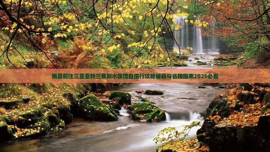 南昌前往三亚亚特兰蒂斯水族馆自由行