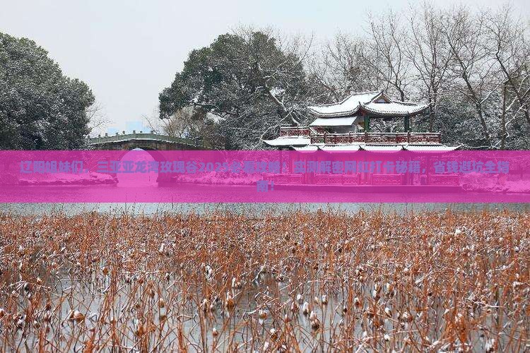辽阳去三亚亚龙湾国际玫瑰谷旅游网红地点