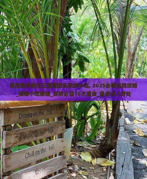 克孜勒苏前往三亚鹿回头旅游小吃
