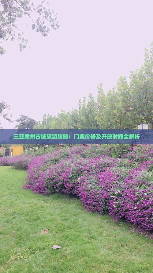 巢湖出发三亚崖洲古城门票