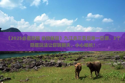 九江去三亚后海一日游