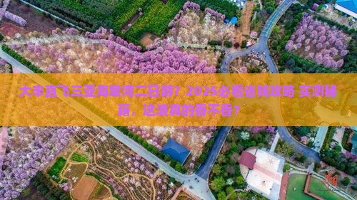 大丰出发三亚海棠湾二日游