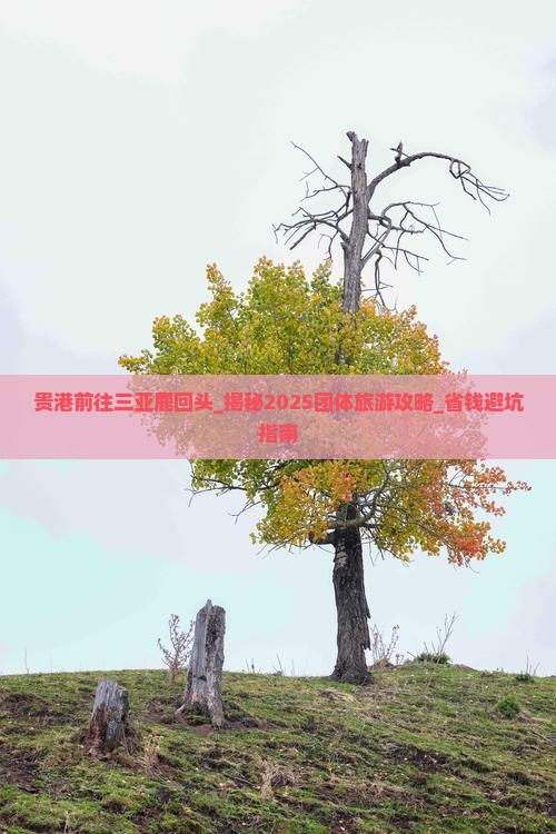 贵港前往三亚鹿回头团体旅游