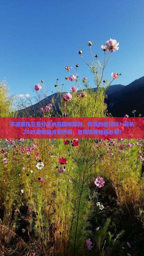 平凉前往三亚分界洲岛团体旅游