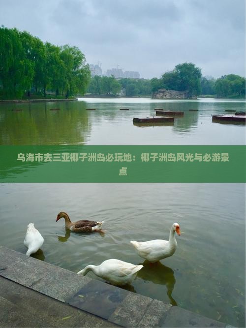 乌海市去三亚椰子洲岛必玩地