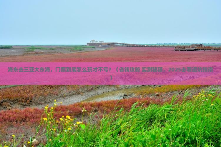 海东前往三亚大东海门票