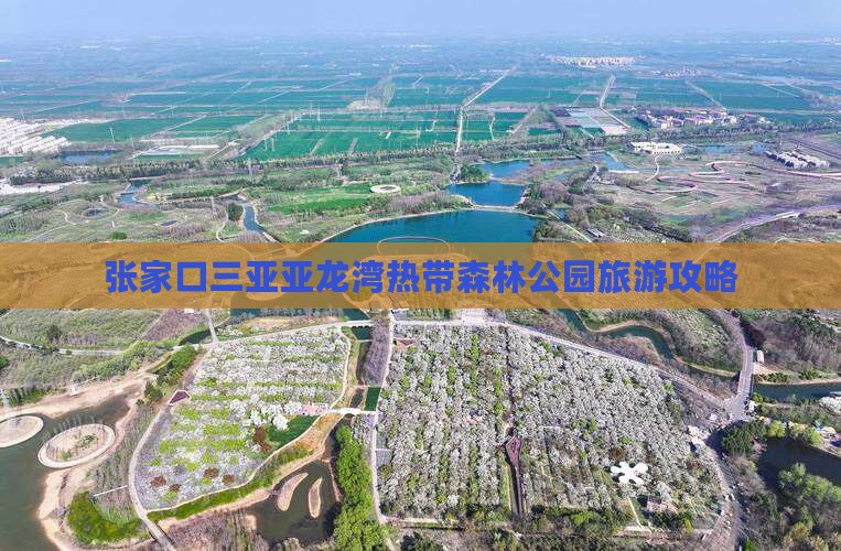 张家口前往三亚亚龙湾热带森林公园攻略