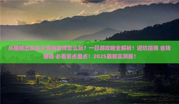醴陵出发三亚海棠湾一日游