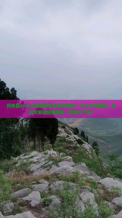 阿泰勒前往三亚椰梦长廊旅游小吃