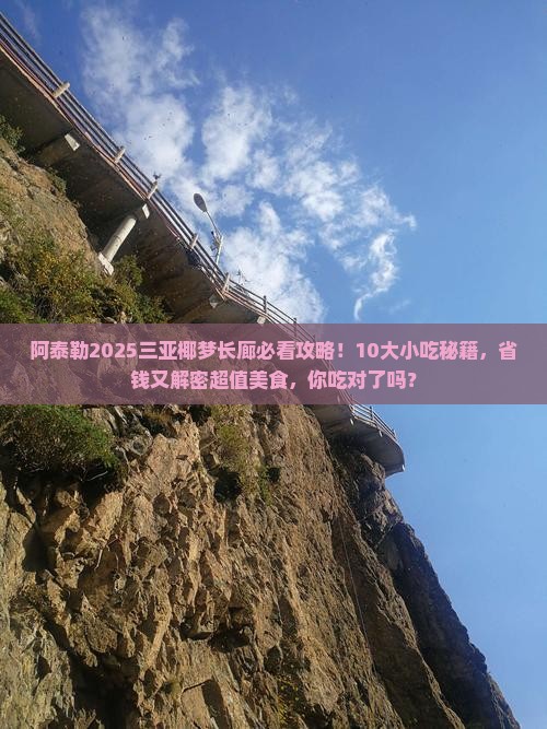 阿泰勒前往三亚椰梦长廊旅游小吃