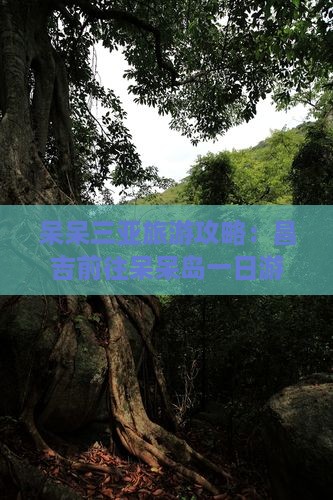 昌吉前往三亚呆呆岛一日游