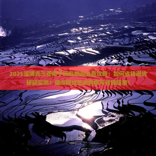 淄博去三亚椰子洲岛旅游网红地点
