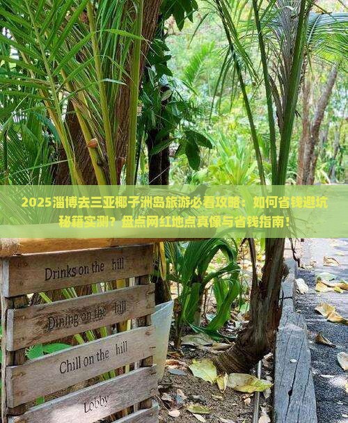 淄博去三亚椰子洲岛旅游网红地点