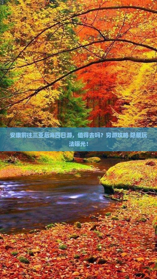 安康前往三亚后海四日游
