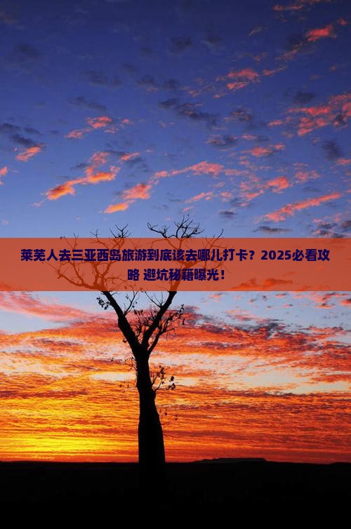 莱芜去三亚西岛旅游打卡点