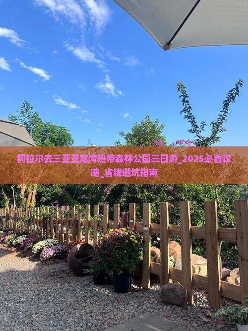 阿拉尔去三亚亚龙湾热带森林公园三日游